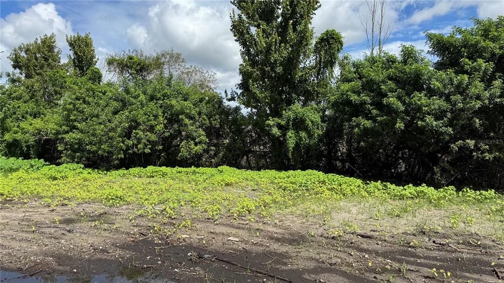 合同活跃: $129,000 (1.60 acres)