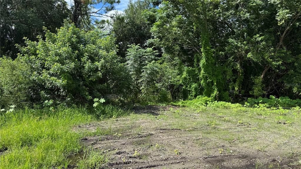 合同活跃: $129,000 (1.60 acres)