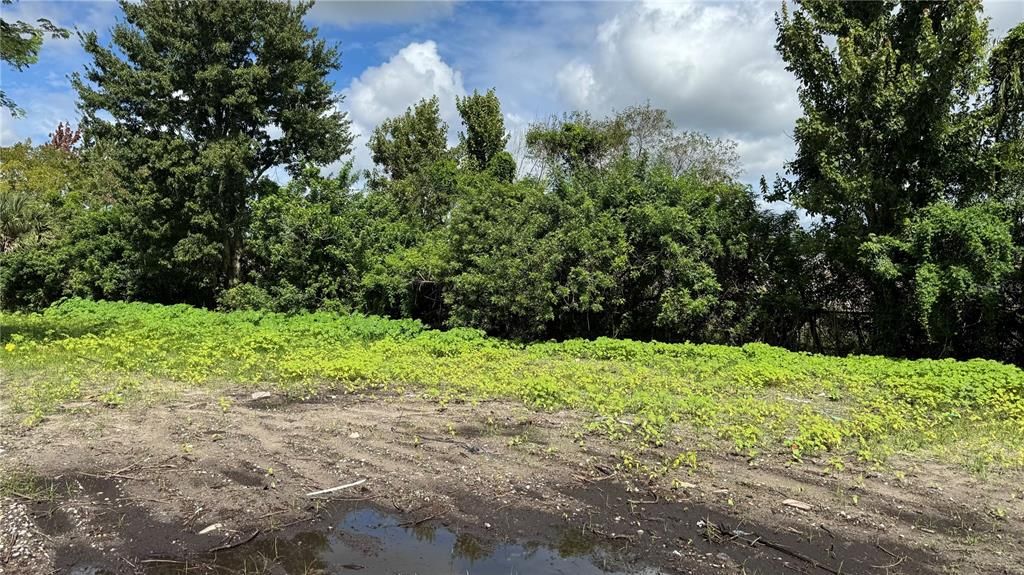 合同活跃: $129,000 (1.60 acres)