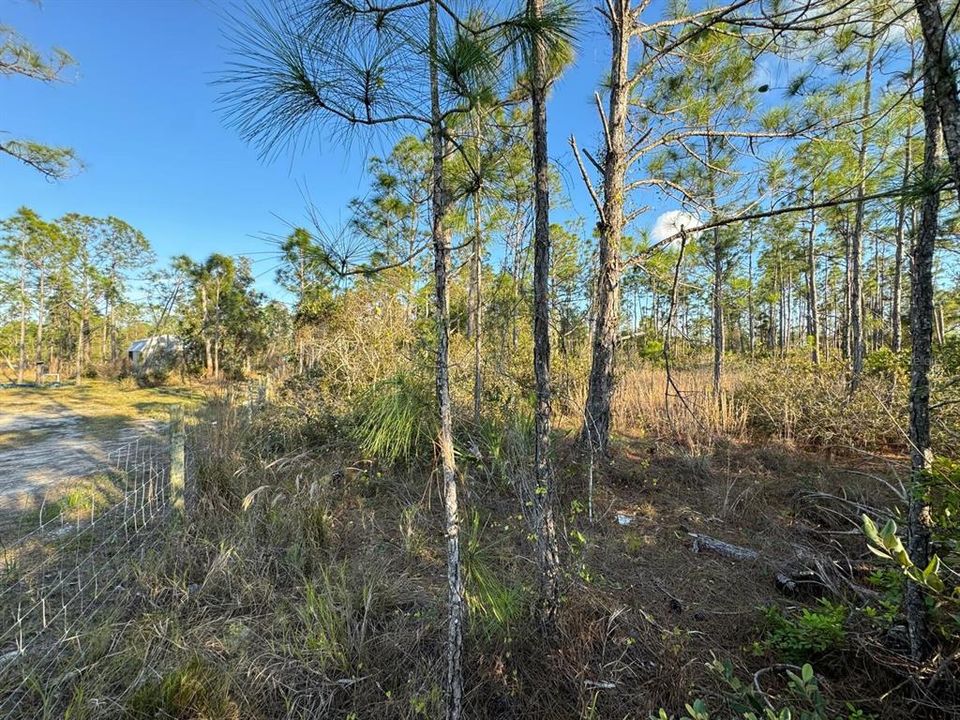 На продажу: $68,000 (1.25 acres)