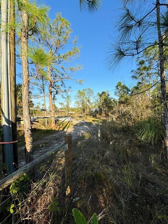 На продажу: $68,000 (1.25 acres)