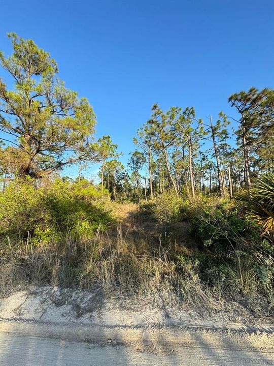 На продажу: $68,000 (1.25 acres)