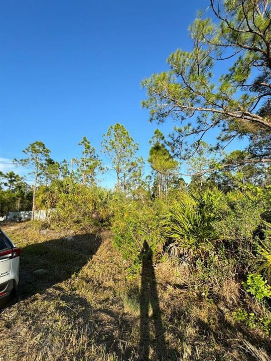 На продажу: $68,000 (1.25 acres)