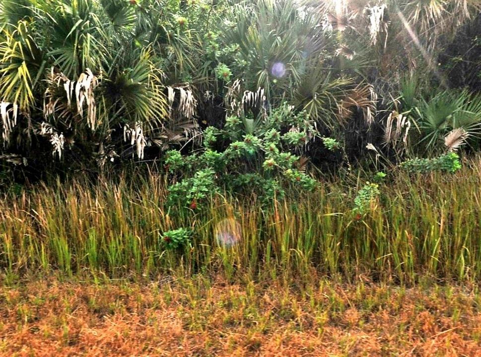 For Sale: $25,000 (0.23 acres)