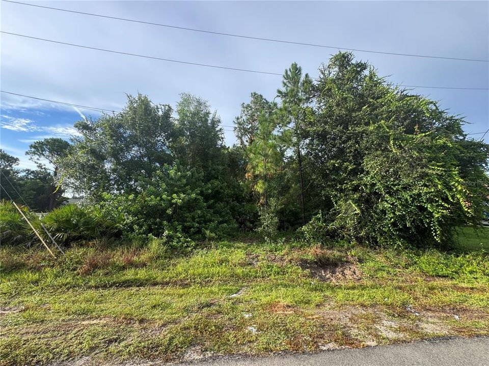 For Sale: $48,900 (0.25 acres)