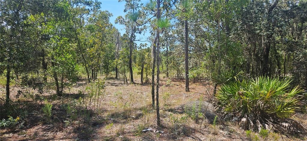 На продажу: $22,999 (0.30 acres)