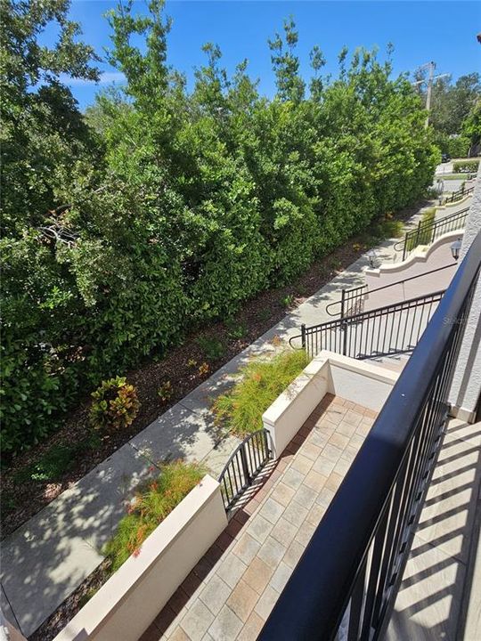 En Renta: $6,000 (2 camas, 2 baños, 1767 Pies cuadrados)