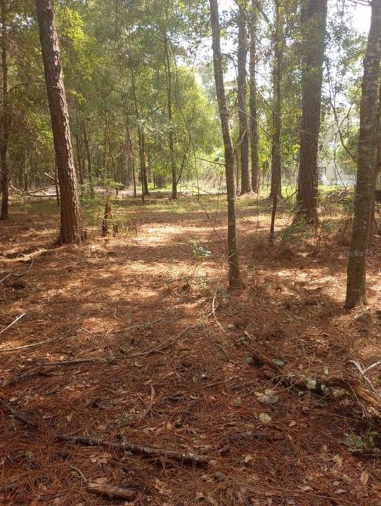 For Sale: $195,000 (2 beds, 2 baths, 1056 Square Feet)