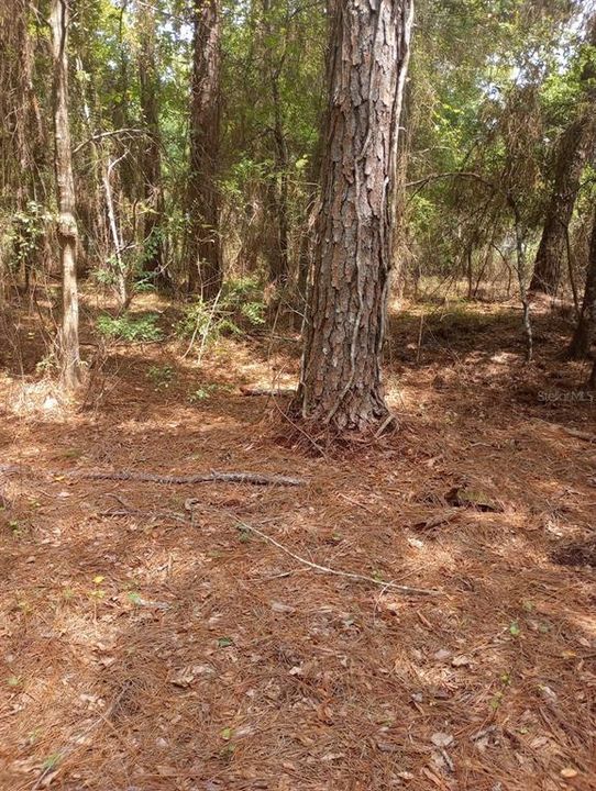 For Sale: $195,000 (2 beds, 2 baths, 1056 Square Feet)