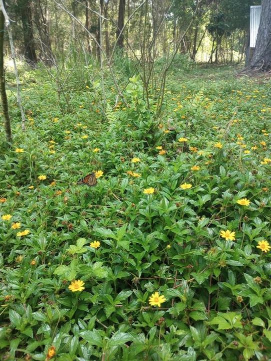 For Sale: $195,000 (2 beds, 2 baths, 1056 Square Feet)