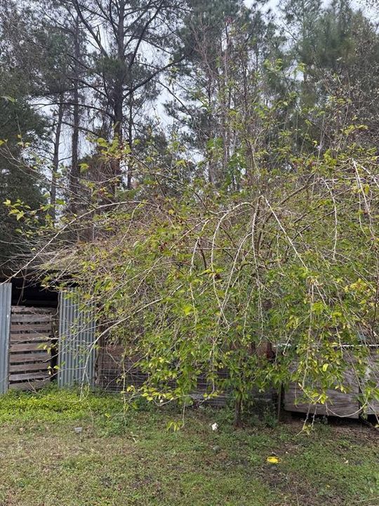 For Sale: $195,000 (2 beds, 2 baths, 1056 Square Feet)