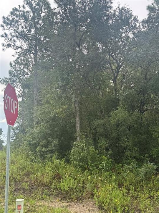 待售: $75,000 (2.14 acres)