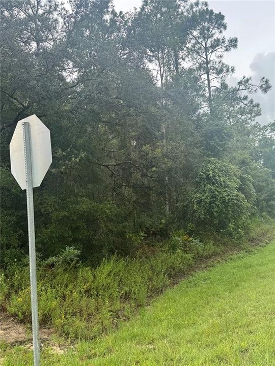 待售: $75,000 (2.14 acres)