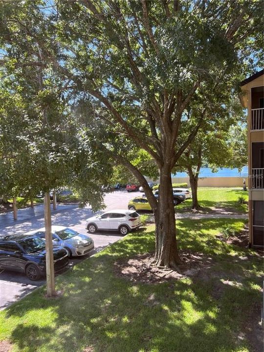 合同活跃: $275,000 (3 贝兹, 2 浴室, 1193 平方英尺)