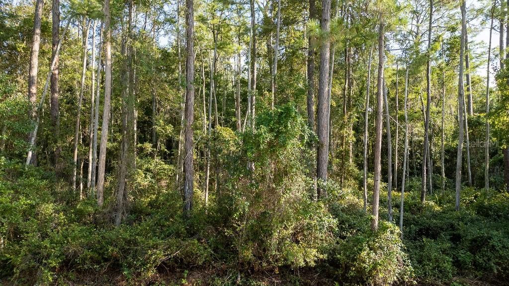 На продажу: $30,000 (1.14 acres)