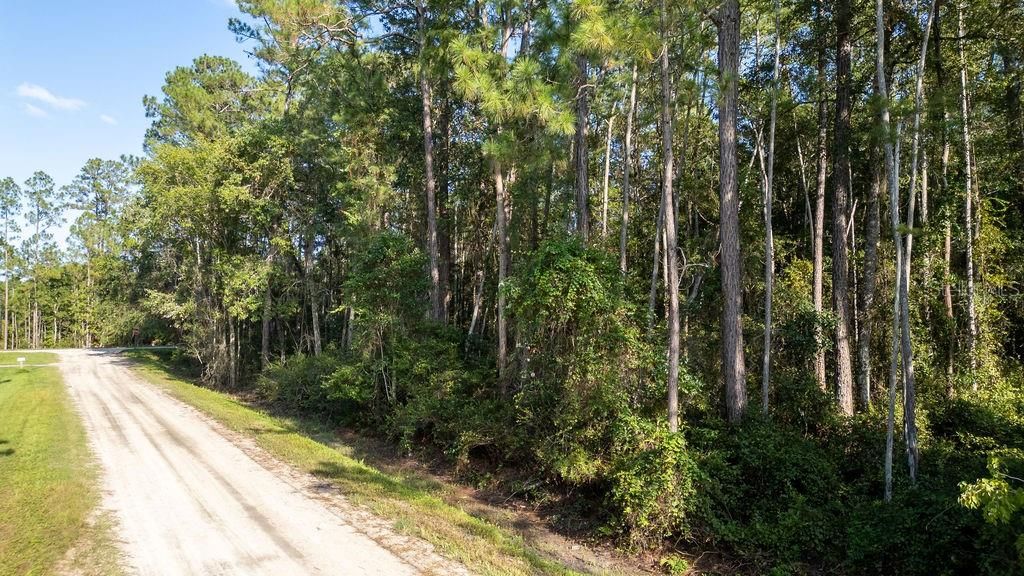 На продажу: $30,000 (1.14 acres)