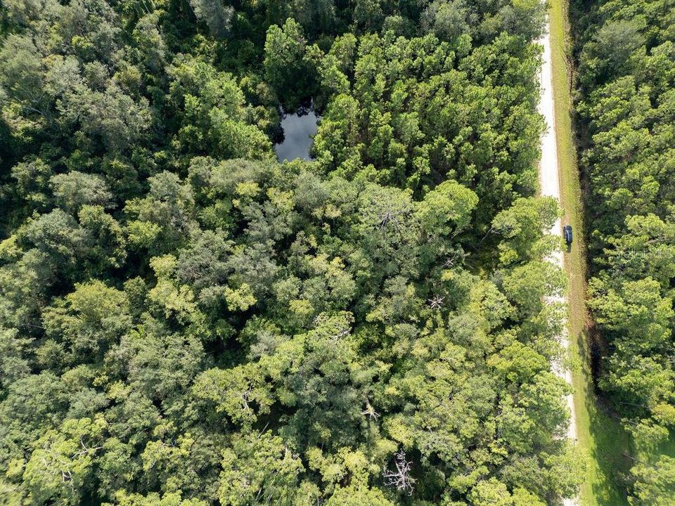 На продажу: $30,000 (1.14 acres)