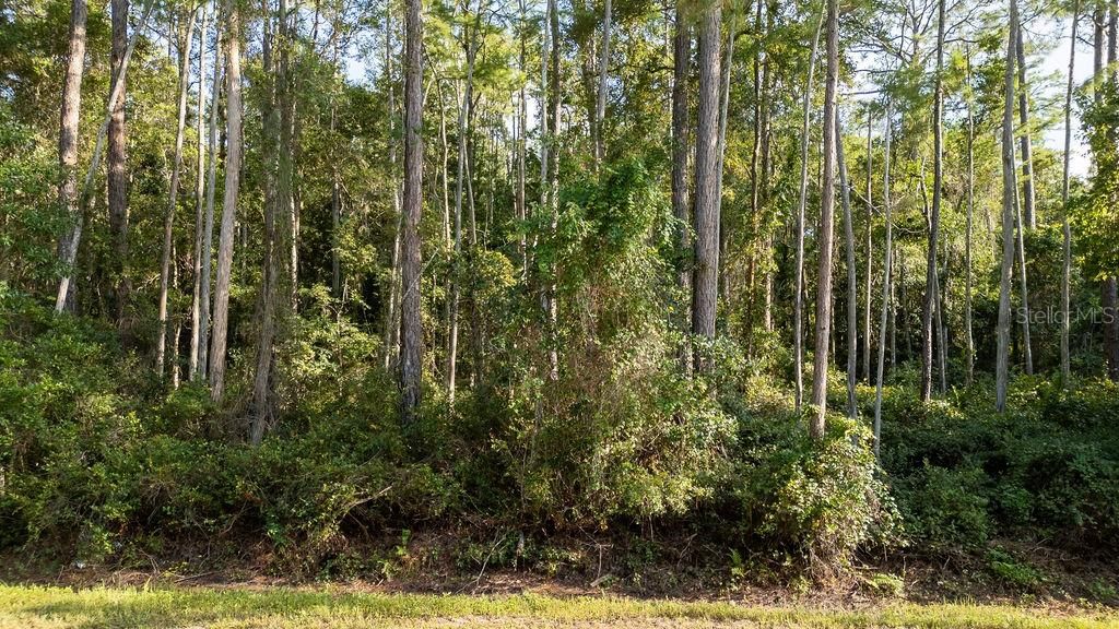 На продажу: $30,000 (1.14 acres)