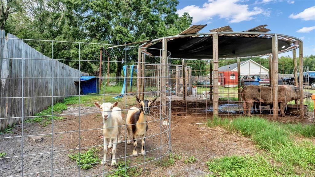 待售: $380,000 (5 贝兹, 3 浴室, 2400 平方英尺)