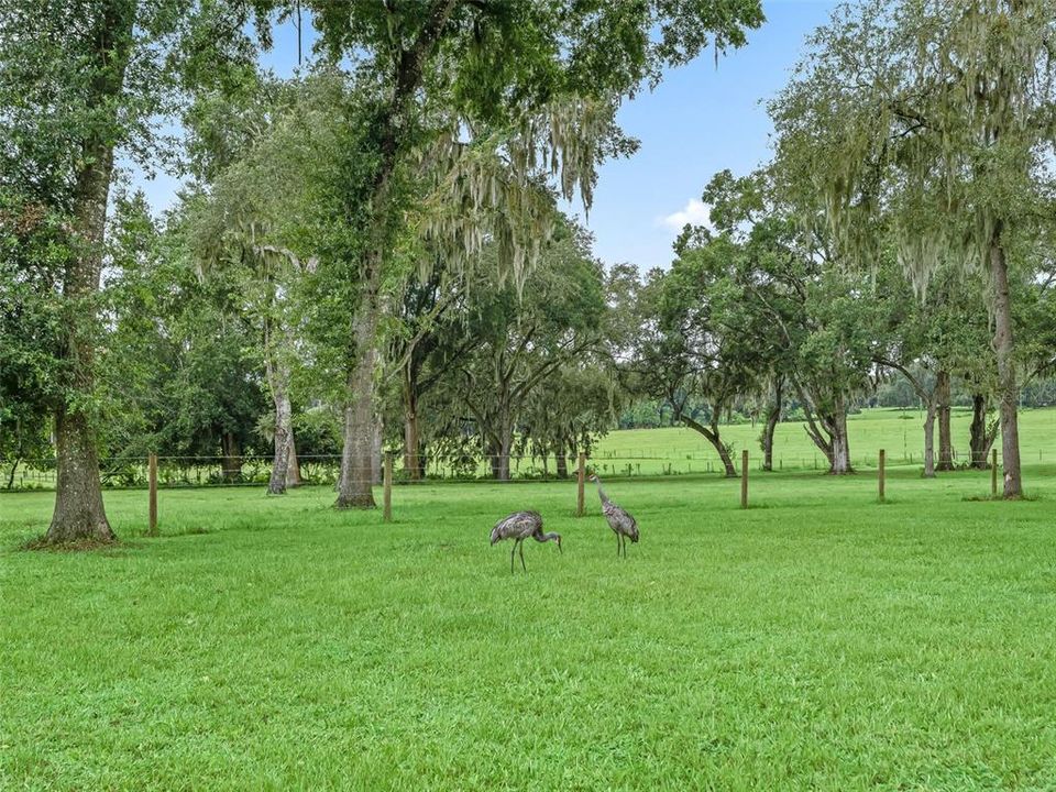 En Venta: $879,900 (3 camas, 2 baños, 2245 Pies cuadrados)