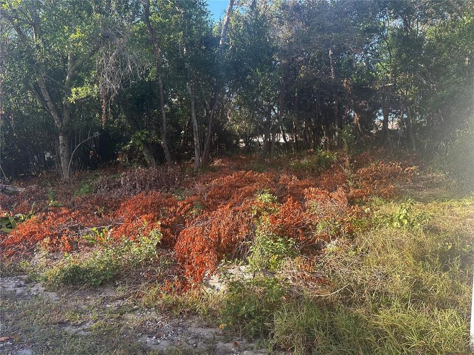 Active With Contract: $60,000 (0.29 acres)