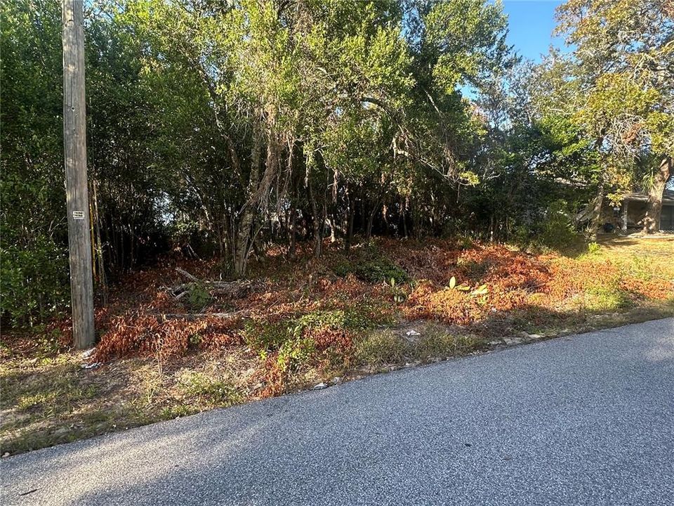 Active With Contract: $60,000 (0.29 acres)