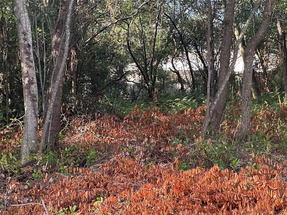 Active With Contract: $60,000 (0.29 acres)