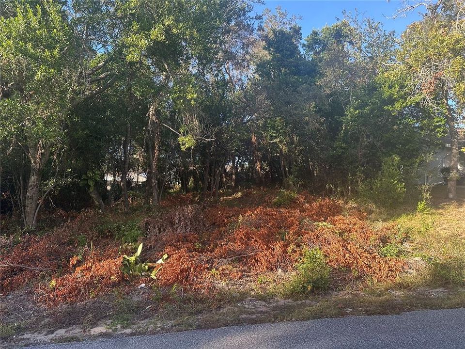 Active With Contract: $60,000 (0.29 acres)