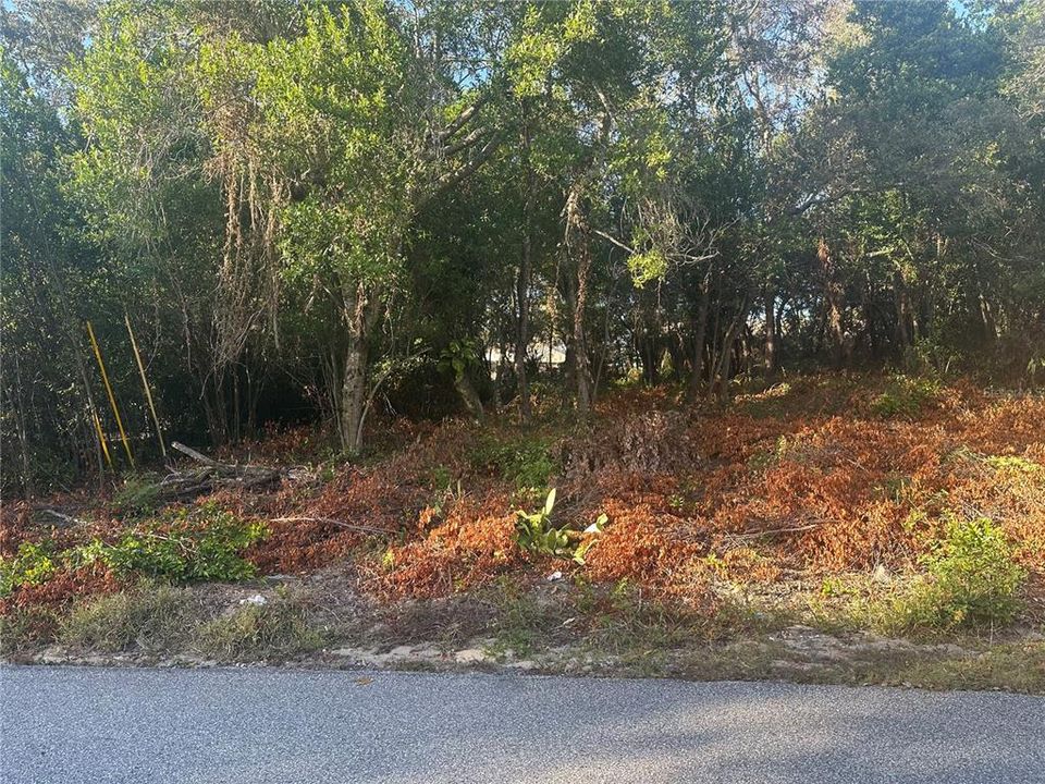 Active With Contract: $60,000 (0.29 acres)