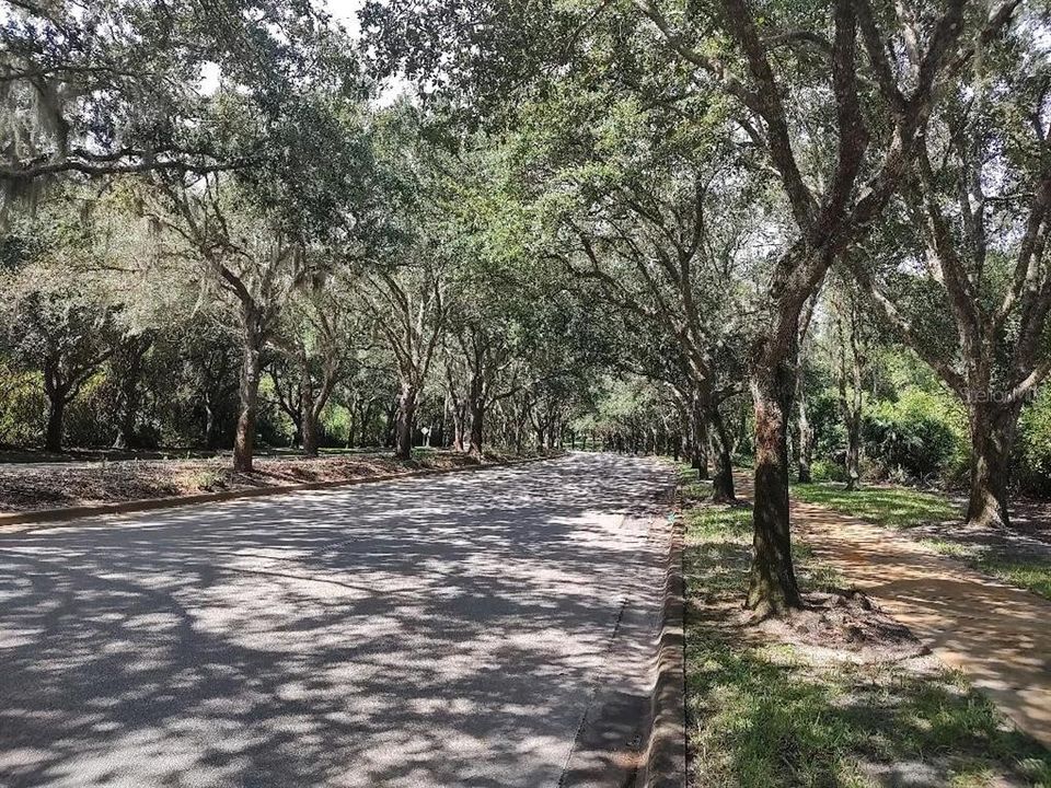 待售: $735,900 (4 贝兹, 2 浴室, 2344 平方英尺)