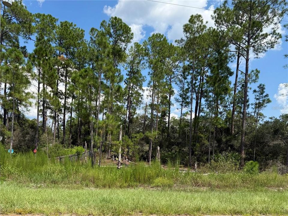 En Venta: $69,000 (1.00 acres)