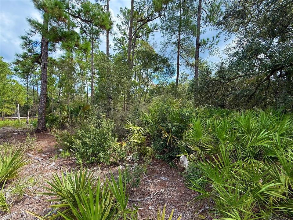 En Venta: $69,000 (1.00 acres)