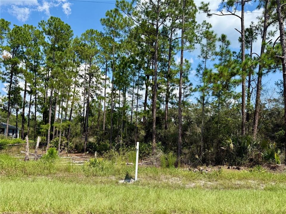 En Venta: $69,000 (1.00 acres)