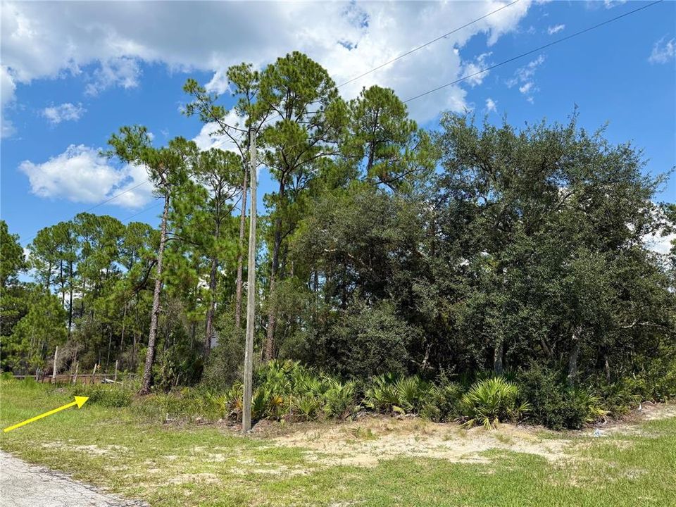 En Venta: $69,000 (1.00 acres)