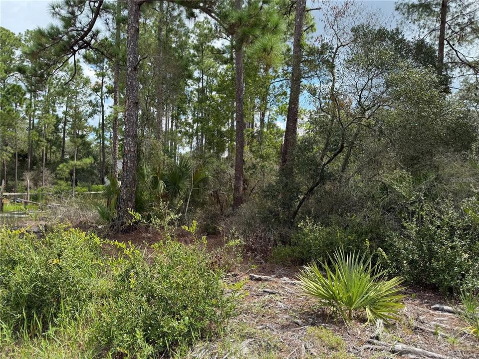 En Venta: $69,000 (1.00 acres)