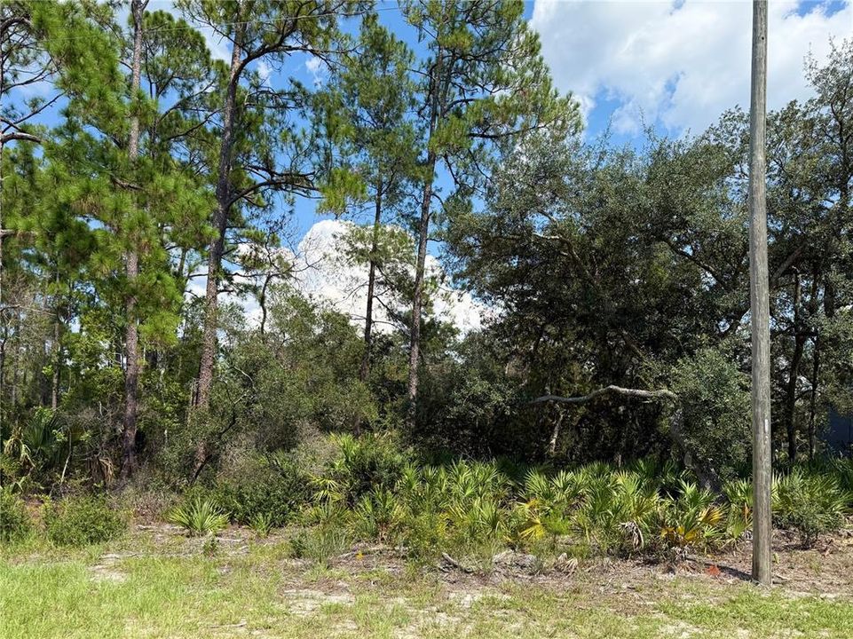 En Venta: $69,000 (1.00 acres)