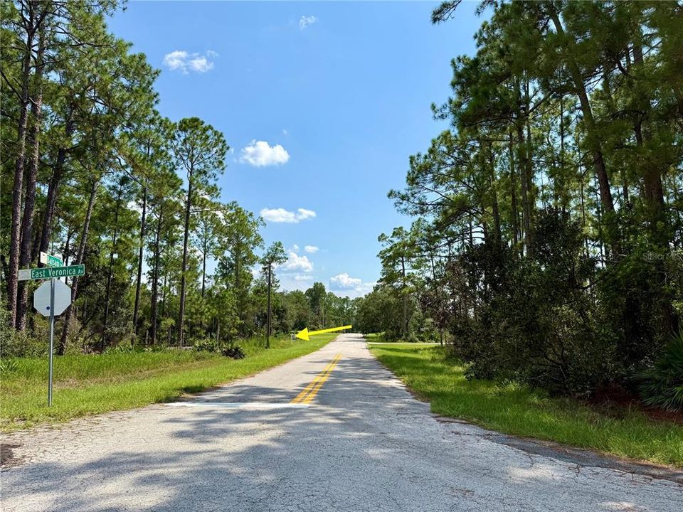 En Venta: $69,000 (1.00 acres)