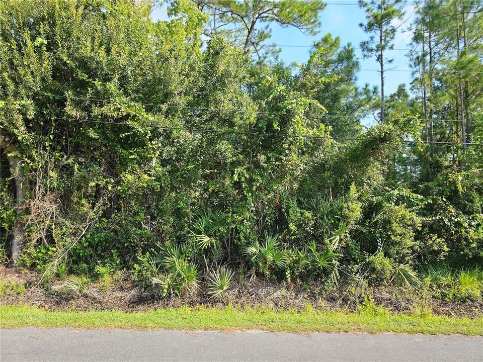 Recently Sold: $59,000 (0.25 acres)