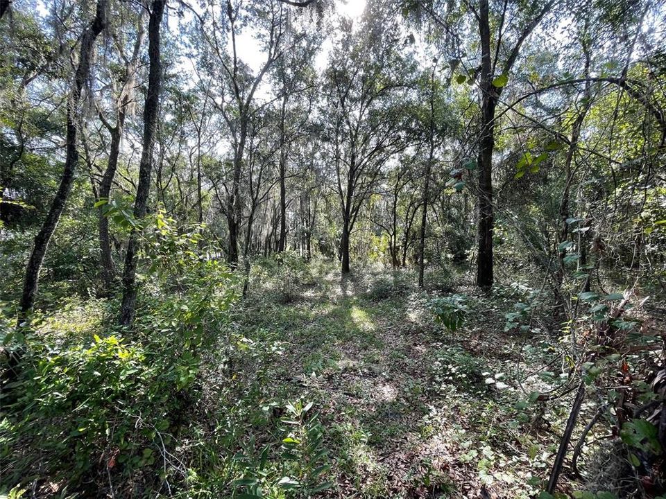 En Venta: $63,750 (0.52 acres)