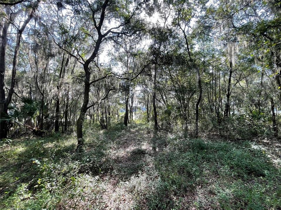 En Venta: $63,750 (0.52 acres)