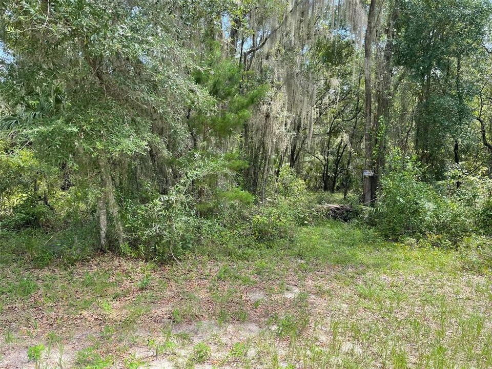 En Venta: $63,750 (0.52 acres)