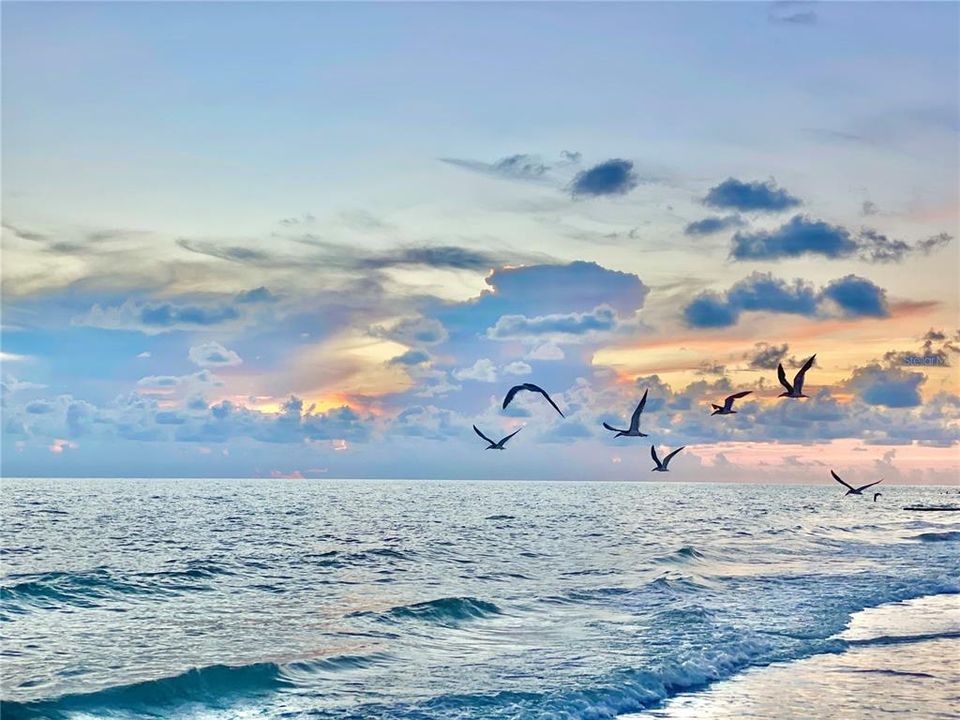 待售: $970,000 (3 贝兹, 2 浴室, 1130 平方英尺)