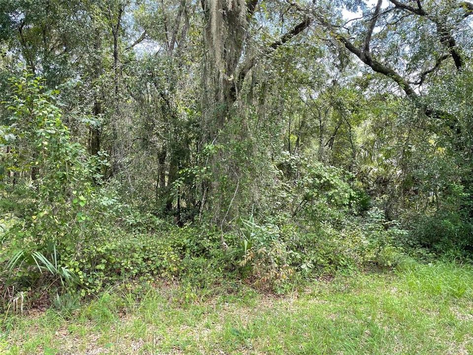 En Venta: $63,750 (0.52 acres)