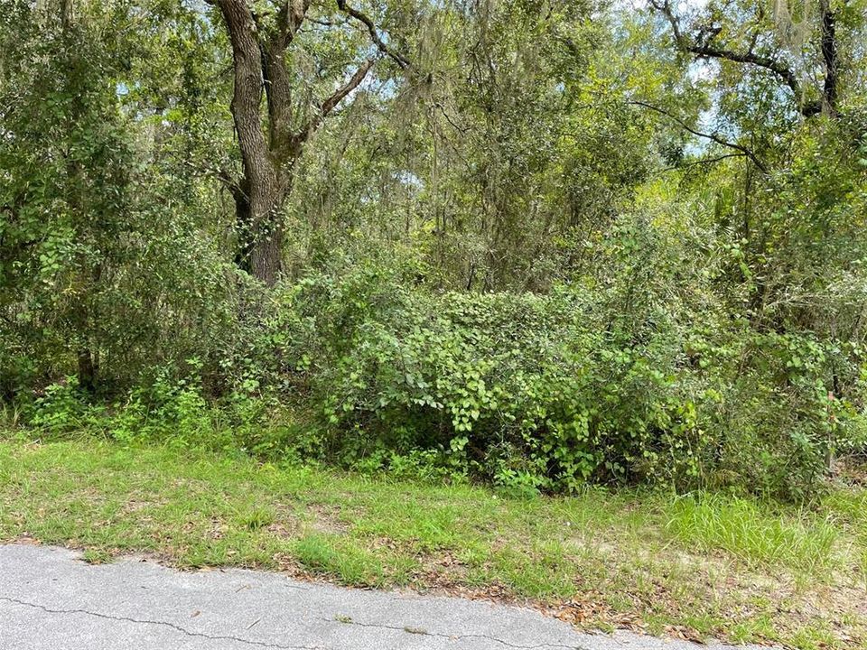 En Venta: $63,750 (0.52 acres)