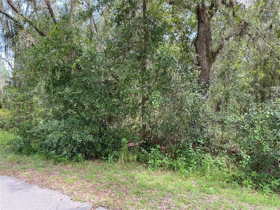 En Venta: $63,750 (0.52 acres)