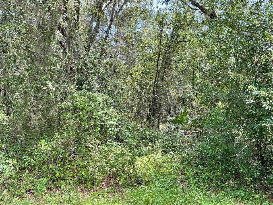 En Venta: $63,750 (0.52 acres)