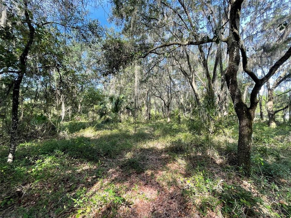 En Venta: $63,750 (0.52 acres)