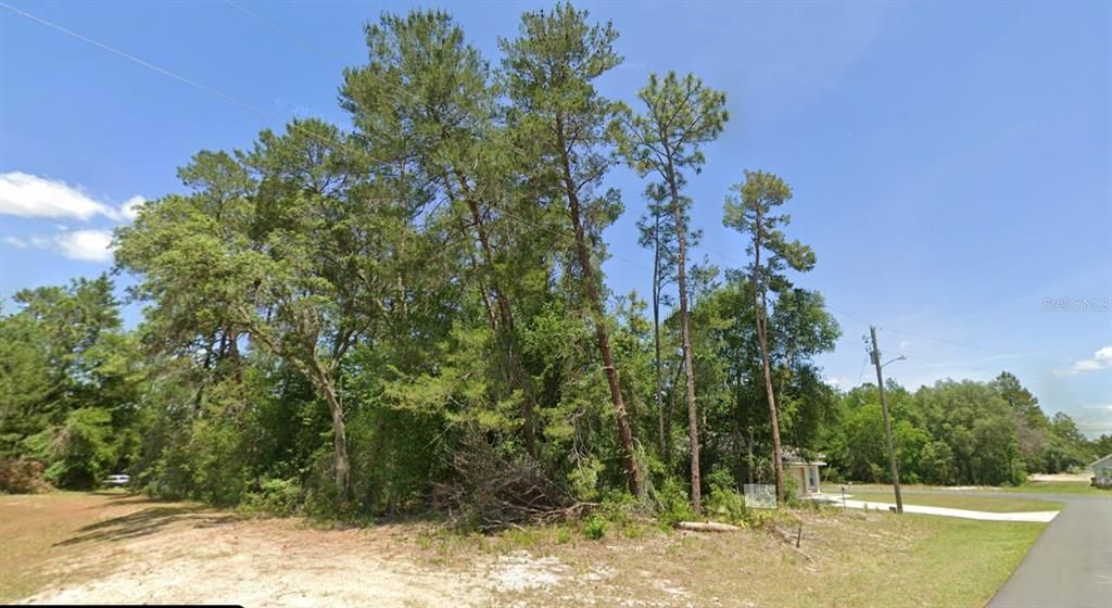 待售: $60,000 (0.25 acres)