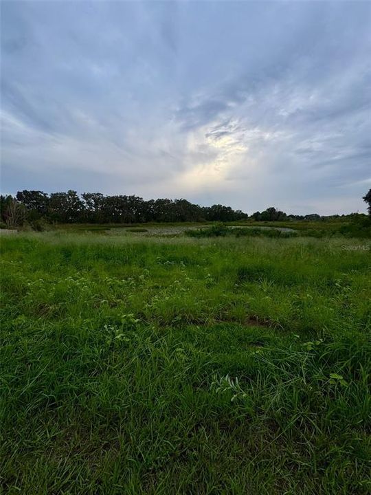 待售: $50,000 (0.19 acres)