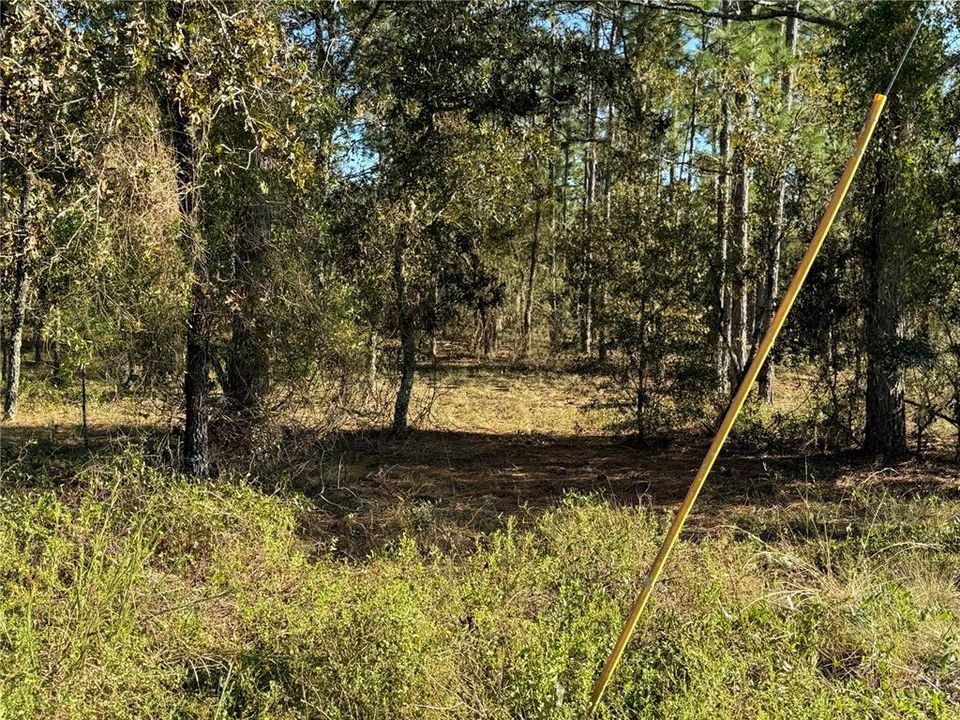 待售: $30,500 (1.25 acres)